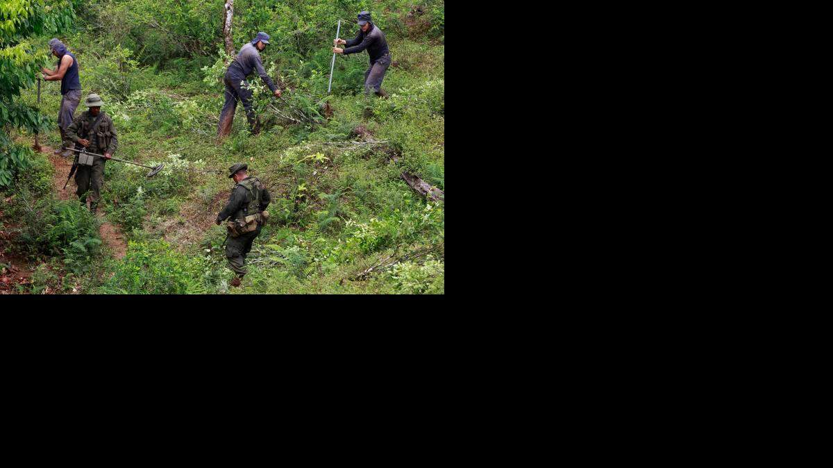 
Policías antinarcóticos buscan minas en sembradíos de plantas de coca en el noroeste de Colombia, en el 2010.
