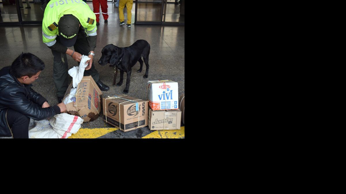
Dino, un perro negro mezclado con Labrador, ayuda a un oficial de policía a inspeccionar equipaje en la terminal de pasajeros de Bogotá, Colombia. Perros como Dino son usados para detectar el tráfico de carnes exóticas como la de tortuga e iguana, que crece en popularidad durante la Semana Santa. 
