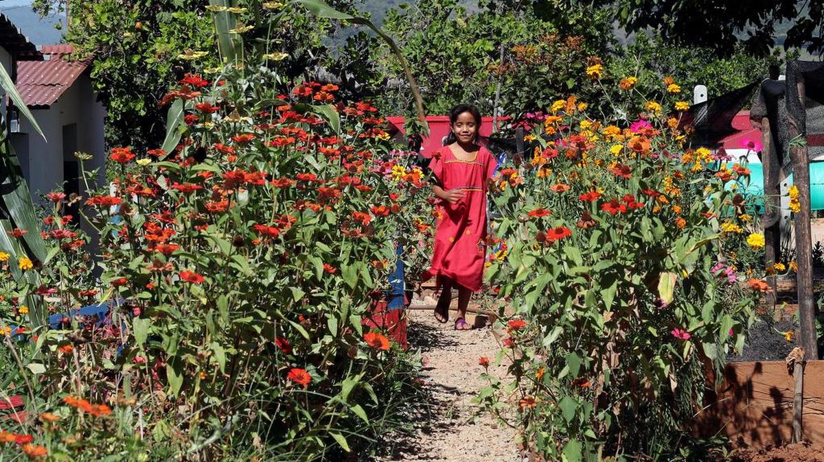 La niña Yaraise recorre un camino empedrado este sábado, 16 de diciembre de 2017, en el asentamiento de Tierra Grata, población ocupada por antiguos guerrilleros de las FARC y sus familias en San José de Oriente, departamento del Cesar (Colombia).