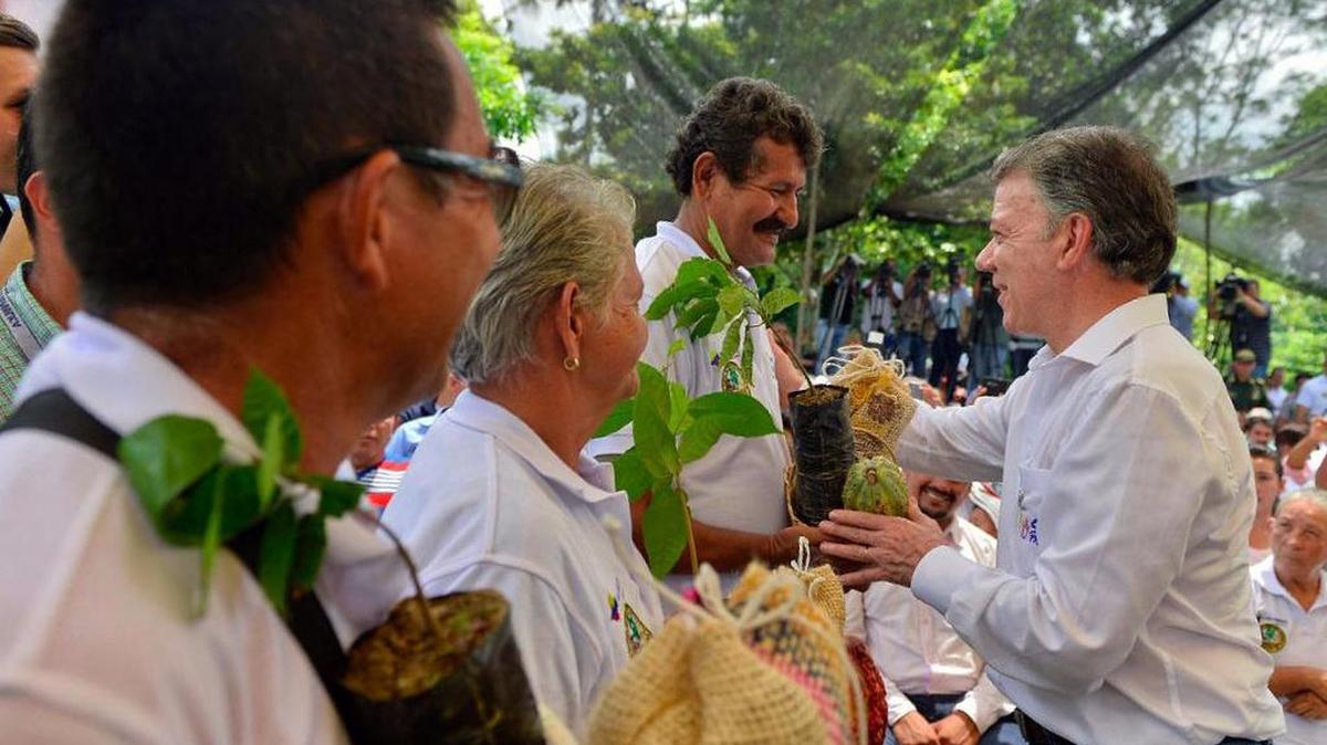 Fotografía cedida por la Presidencia de Colombia del mandatario Juan Manuel Santos (d) durante una visita a cacaoteros el sábado 22 de octubre de 2016, en Tibú, Colombia.