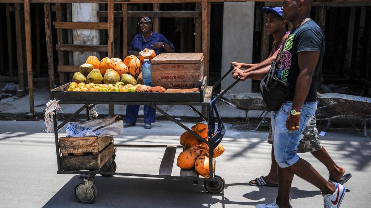 Uno de los graves problemas del país es la merma cada vez mayor en la producción agrícola por la ineficencia del sistema.