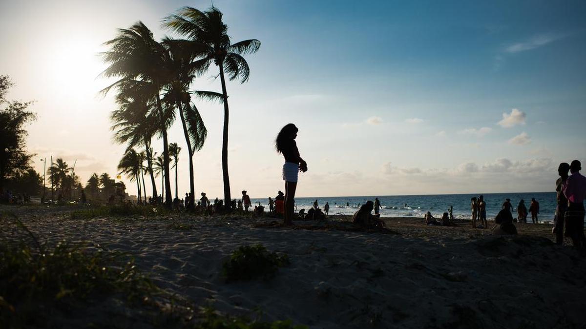 
Las autoridades cubanas cerraron una playa en la Bahía de Cienfuegos, por una microalga que provocó lesiones en la piel a unas 50 personas.
