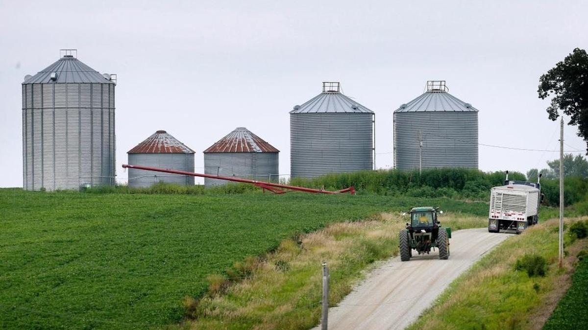 En esta foto de archivo del 2014, un agricultor conduce su tractor a través de un campo de soja hacia los depósitos de cereales cerca de Ladora, Iowa. La agricultura estadounidense tiene un gran apetito por un comercio más libre con Cuba, y la soja es uno de los principales productos que Cuba compra a Estados Unidos.