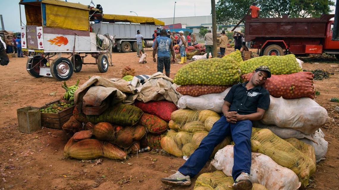 Un campesino descansa sobre unos sacos de productos agrícolas en un mercado mayorista de La Habana en esta foto de archivo. La economía economía cubana crecerá menos de lo anticipado para este año.