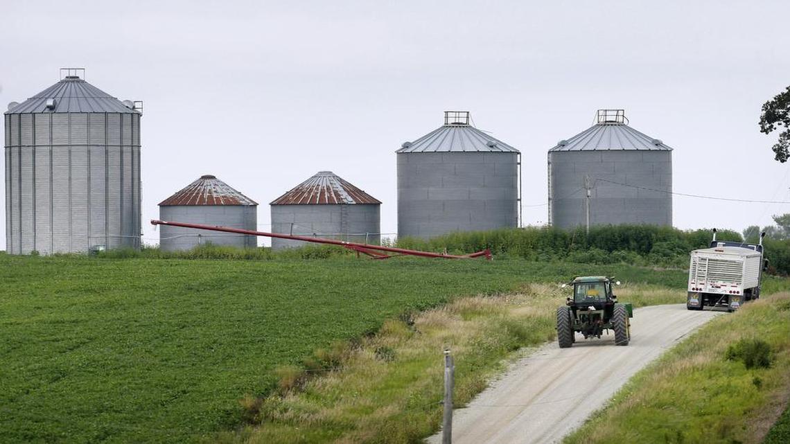 
Un granjero conduce su tractor cerca de un sembradío de frijoles de soya cerca de la población de Ladora, en el estado de Iowa.

