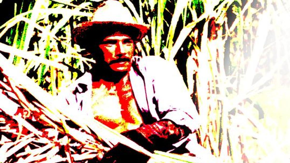 El trabajo como castigo, acoso y represalia, pretende doblegar a aquellos que resultan desafectos a un sistema político y social. En Cuba ha sido una rutina sistemática, al igual que en Corea del Norte.