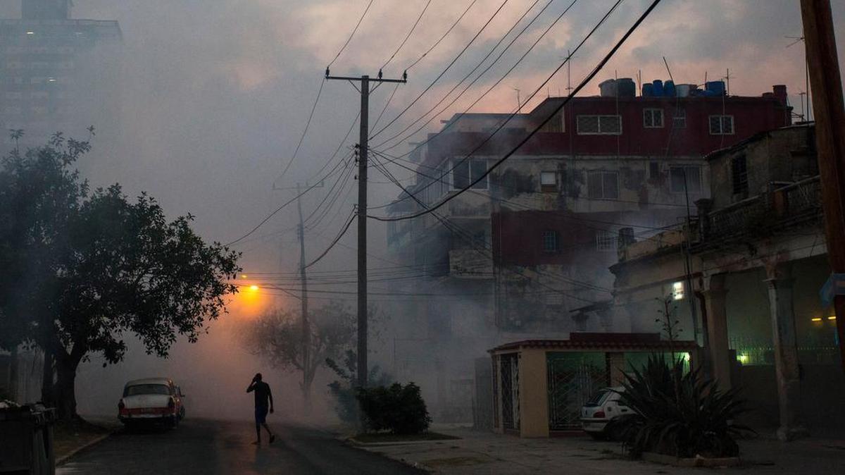 El vecindario de El Vedado es fumigado para la eliminación de mosquitos, en La Habana.
