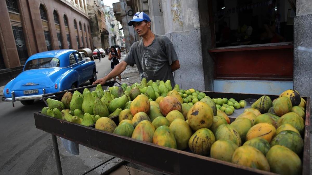 Un hombre vende vegetales y frutas hoy, martes 1 de agosto de 2017, en La Habana. Cuba paralizó temporalmente la entrega de licencias a restaurantes privados y casas de renta turísticas, entre otras actividades, con el fin de regular y ordenar el trabajo por cuenta propia, un ámbito "clave" en el proceso de reformas económicas que atraviesa el país.