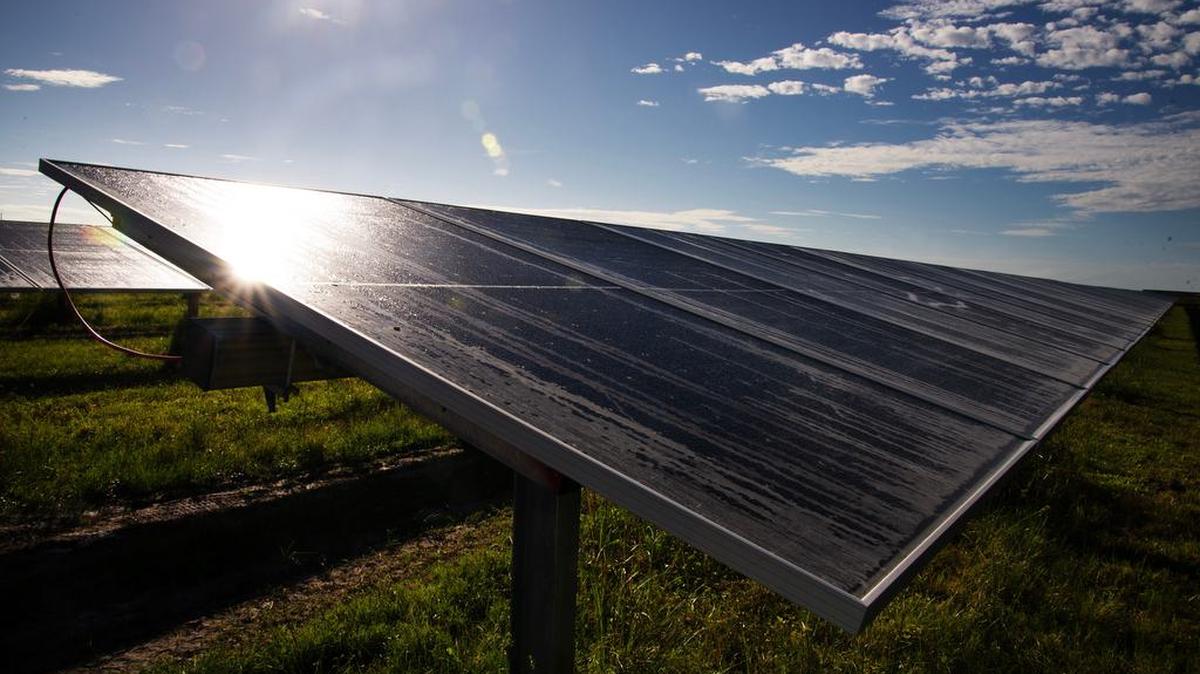 La Agencia de Cooperación Internacional de Japón (Jica) donó más de 20 millones de dólares para colaborar con Cuba en el montaje de parques fotovoltaicos solares. En la foto se ve un campo de Florida Power & Light en el sur de Palm Bay.