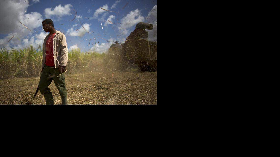 
La actual cosecha debe concluir en la primera semana de mayo en la provincia oriental de Holguín, después de más de 100 días de molienda de 44 de las 50 fábricas que participan en la producción.
