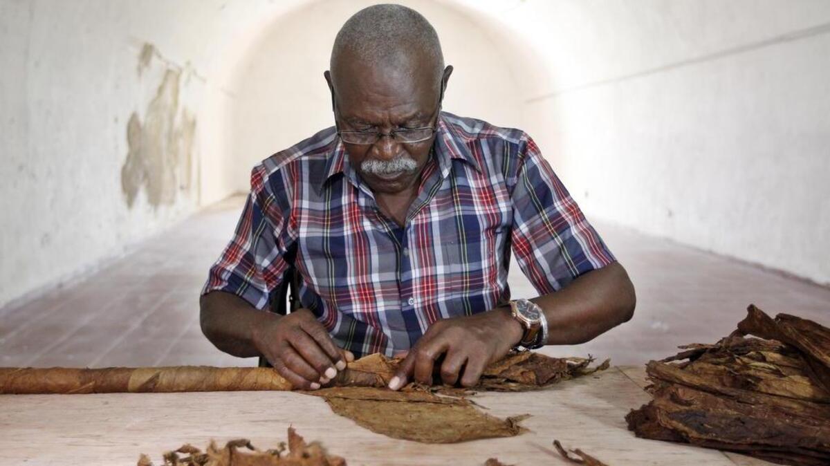 El tabaquero cubano José Castelar Cairo, conocido como "Cueto", confecciona hoy, 4 de agosto de 2016, un nuevo habano gigante con el que intentará romper su anterior marca de 81,80 metros de largo, establecida en 2011, y así alcanzar el sexto Récord Guinnes de su carrera al puro más grande del mundo.
