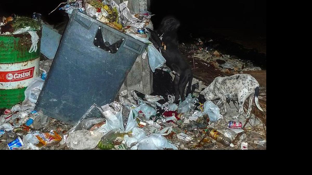 
Imagen de un basurero ilegal en La Habana. 

