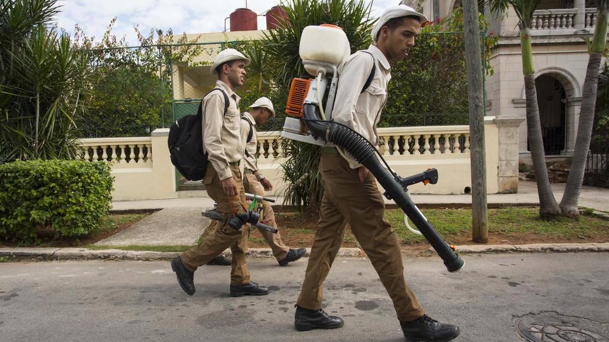 Cuba ha involucrado a más de 9,000 soldados, policías y estudiantes universitarios en el esfuerzo de fumigación para combatir mosquitos y prevenir una epidemia de zika.