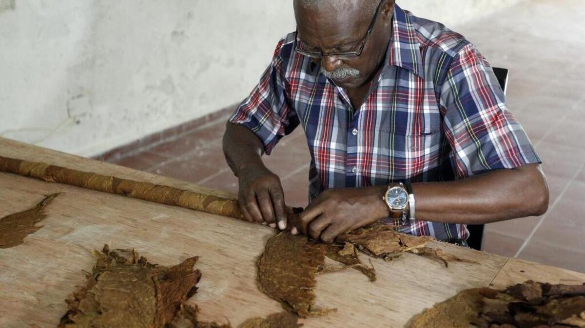 El tabaquero cubano José Castelar Cairo, conocido como "Cueto", confecciona el 4 de agosto de 2016, un nuevo habano gigante con el que intentará romper su anterior marca de 81.80 metros de largo, establecida en 2011, y así alcanzar el sexto Récord Guinnes de su carrera al puro más grande del mundo.