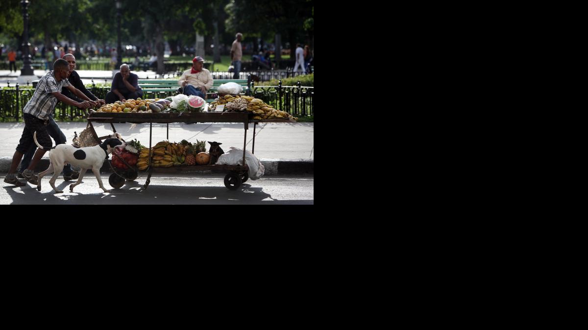 
Dos hombres arrastran una carretilla cargada de frutas y vegetales, por una calle de La Habana (Cuba) hoy, martes 20 de enero de 2015, un día antes de que comience en esta capital la 28 Ronda Migratoria Cuba-EEUU.EFE/Alejandro Ernesto
