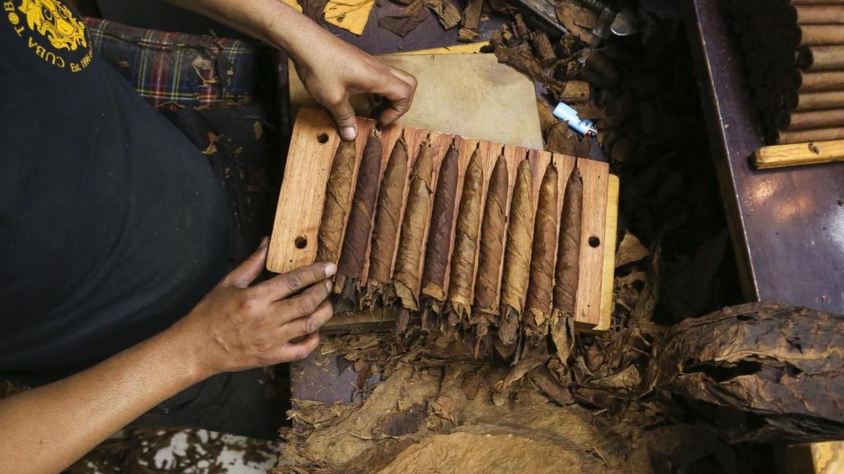 Desde el 2009 la producción tabacalera ha disminuido significativamente y en el 2014 las cifras descendieron un 21%.