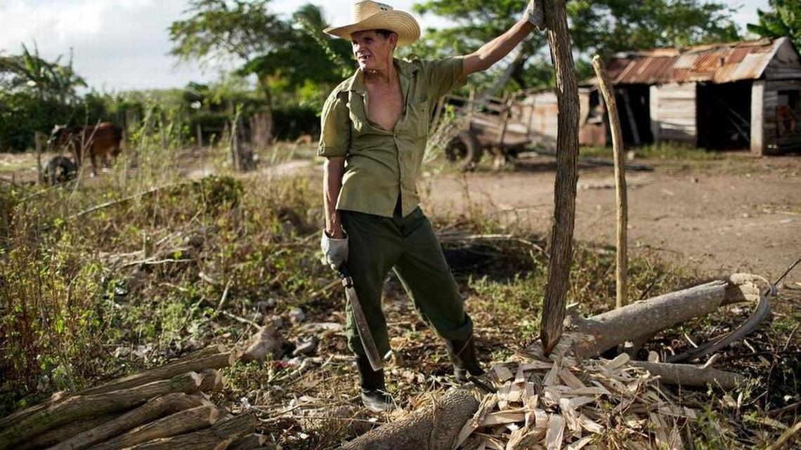 Un campesino cubano limpia de marabú su parcela de tierra.