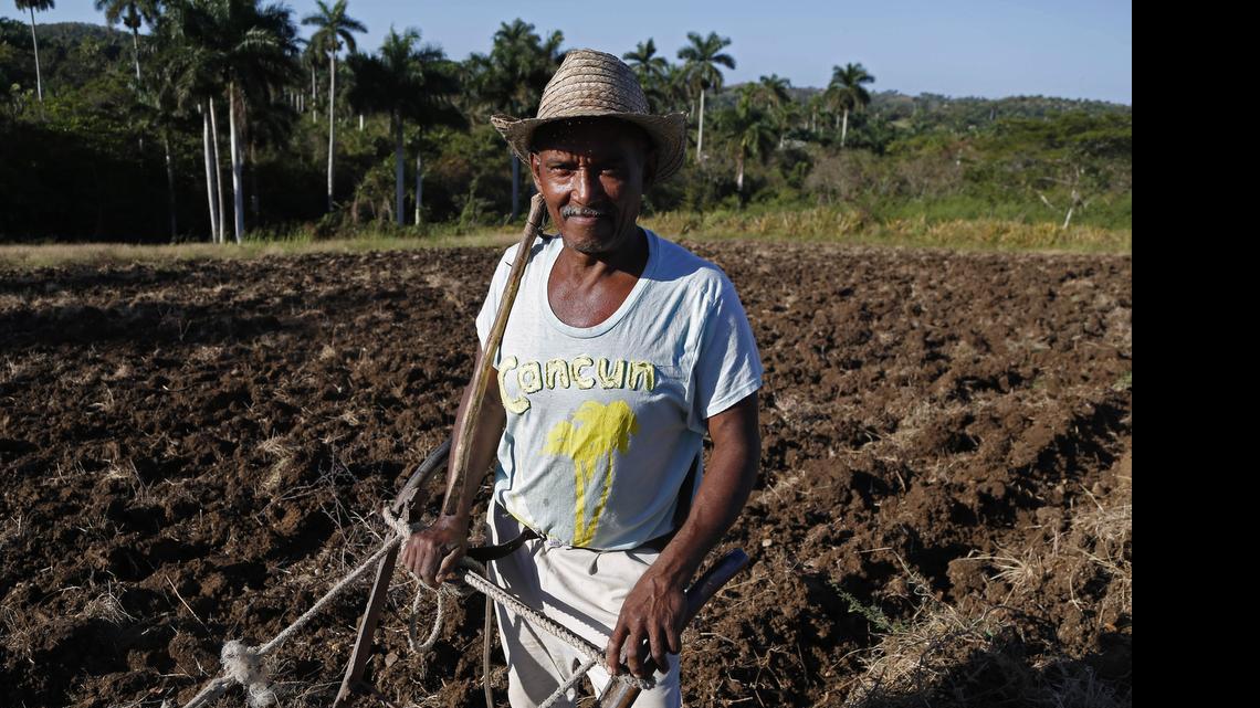 
En el 2001 el Congreso de Estados Unidos autorizó la venta de productos agrícolas, alimentos y medicinas a Cuba, pero con pago al contado y transporte en naves no cubanas.
