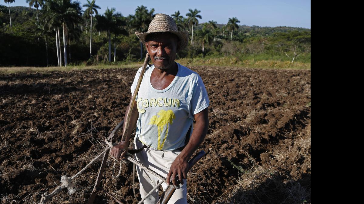 
En el 2001 el Congreso de Estados Unidos autorizó la venta de productos agrícolas, alimentos y medicinas a Cuba, pero con pago al contado y transporte en naves no cubanas.
