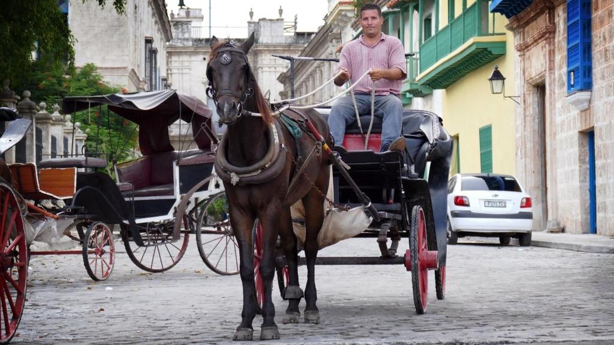 Rafael Díaz Peña trabaja desde hace nueve años conduciendo un carro de caballos. Esa tarde daba paseos a turistas cerca de la Plaza de la Catedral en La Habana Vieja.