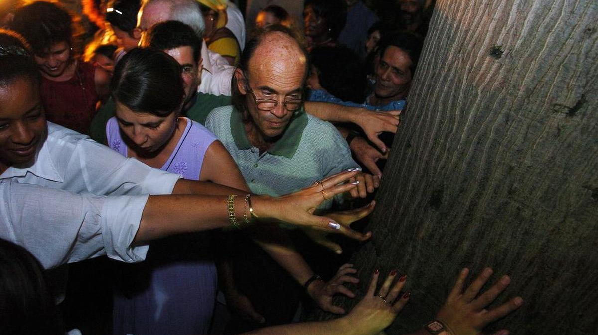 Decenas de personas dan, el miércoles 15 de noviembre, las tradicionales 3 vueltas a la Ceiba ubicada en El Templete, sitio donde fue fundada un 16 de noviembre de 1519 la villa de San Cristóbal de La Habana, actual Ciudad de La Habana, que cumplirá mañana 487 años.