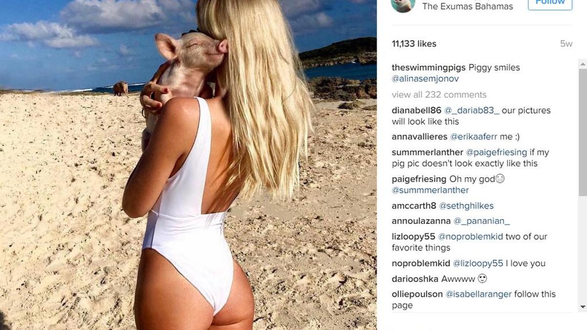 Una modelo con uno de los famosos cerditos nadadores de Las Bahamas, que tienen su propia cuenta en Instagram.