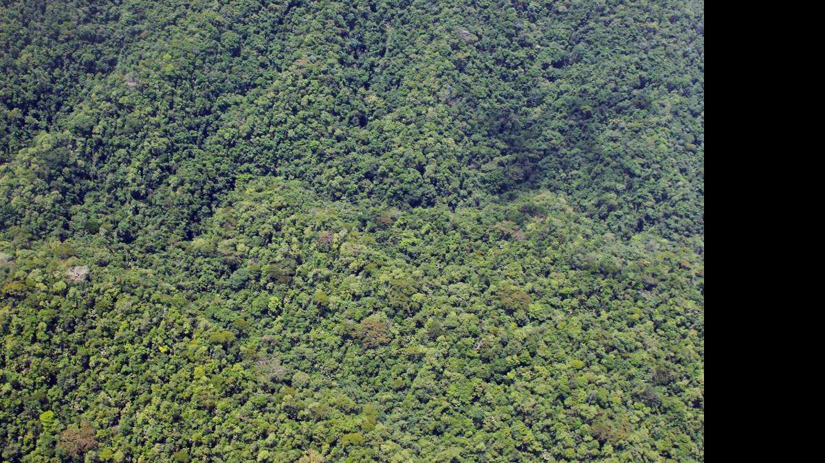
Fotografía cedida por el Instituto de Antropología de Honduras en el 2012, que muestra el lugar donde posiblemente esta ubicada la Ciudad Blanca, una urbe sagrada precolombina que estaría oculta por una jungla espesa formada por árboles de 75 metros de altura, en las costas del Caribe de Honduras. 
