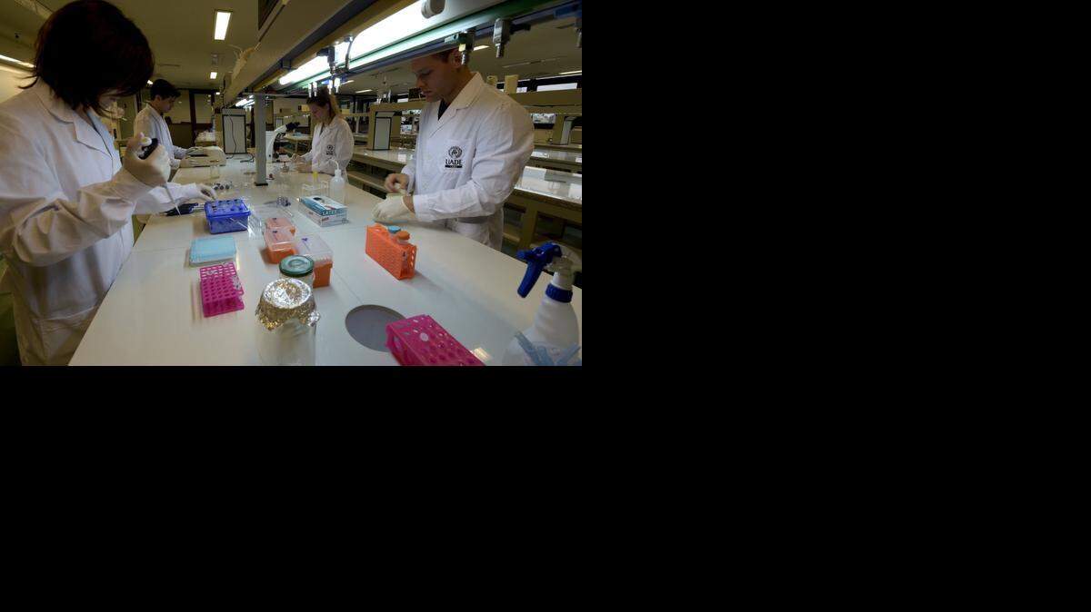 
La profesora Julieta Nafissi (izq.) y estudiantes trabajan en sus protectos de biotecnología en la Universidad Argentina de la Empresa.
