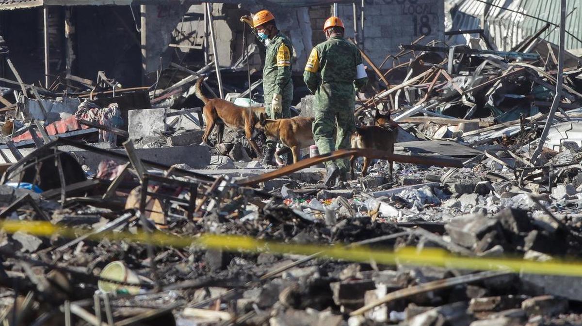 Personal del ejercito mexicano realiza labores de búsqueda y rescato con perros entrenados el miércoles 21 de diciembre de 2016, en la zona donde se registró la explosión en el Mercado de Pirotecnia de San Pablito, en el municipio mexicano de Tultepec (México).