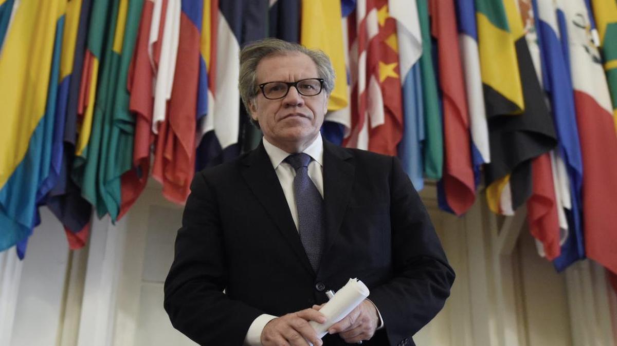 El Secretario General de la OEA, Luis Almagro, posa hoy, viernes 3 de junio de 2016, en una entrevista exclusiva para Efe en la sede de la Organización de los Estados Americanos en Washington DC (EE.UU).