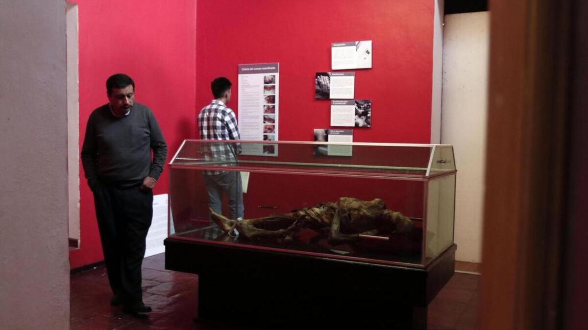 Fotografía de este sábado 27 de agosto de 2016 del cuerpo momificado que se encontró en junio de 2015 en el Pico de Orizaba, la montaña más alta de México, que se exhibe con todo su misterio en un museo de Ciudad Serdán, en el centro del país.