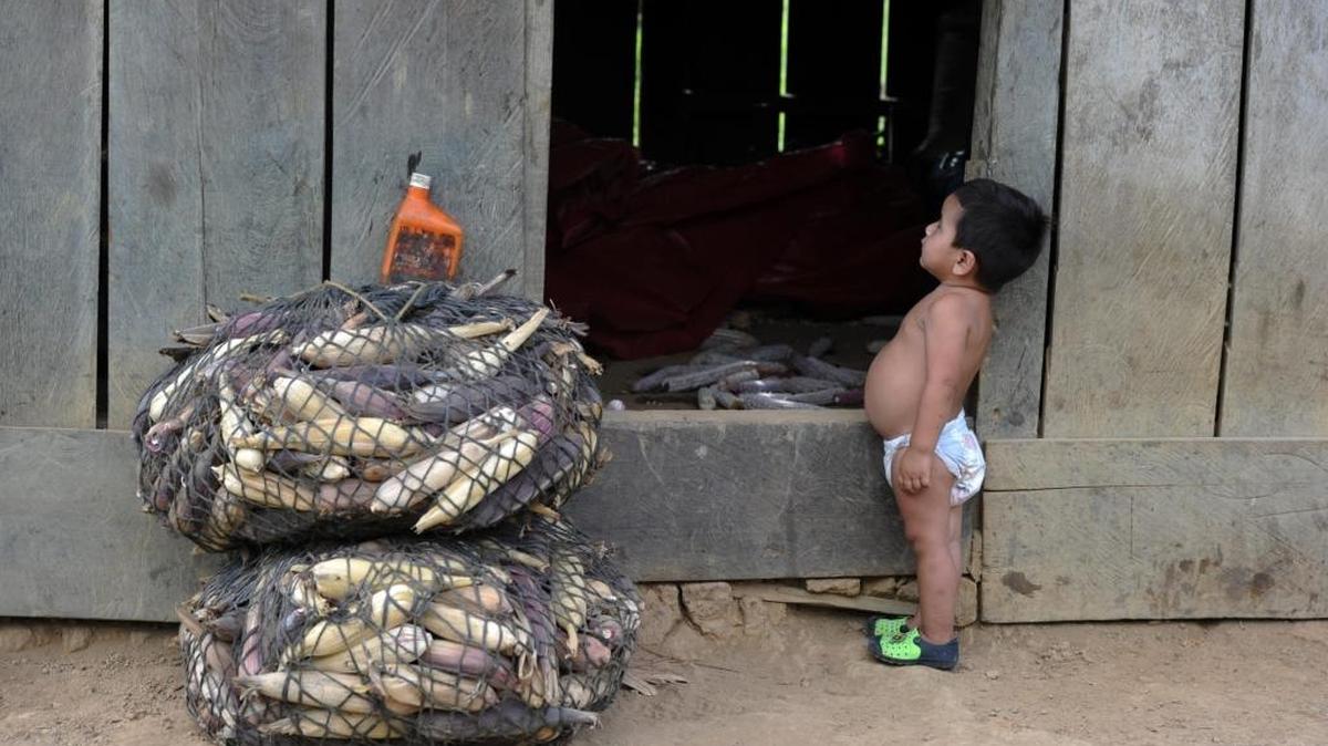 Un niño, hijo de los campesinos asentados en la biósfera de Río Plátano, en la región de La Mosquitia, Honduras.