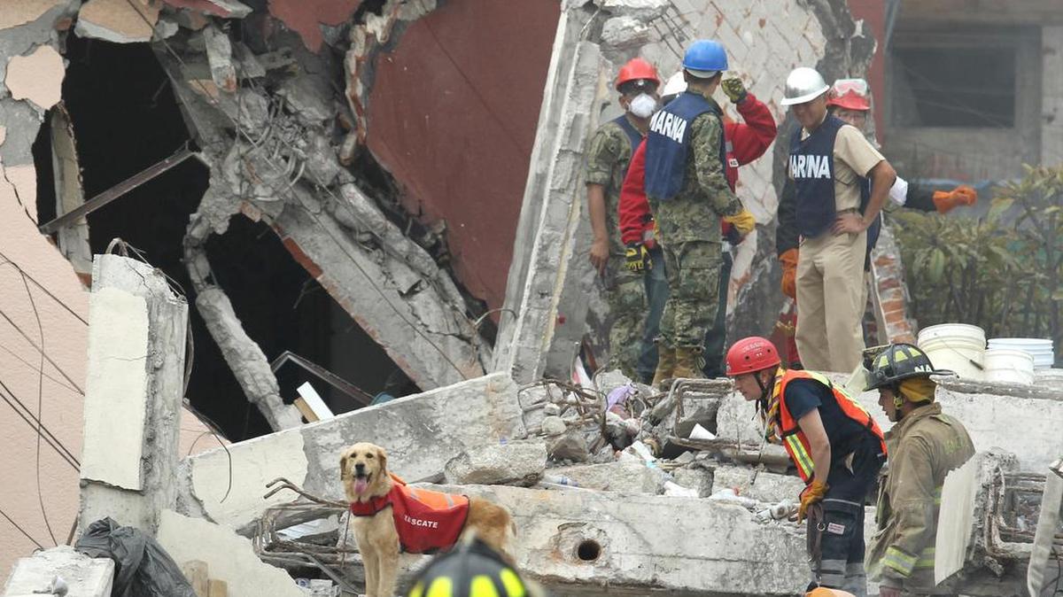 Brigadistas y voluntarios continúan con las labores de rescate en un edificio colapsado en las calles de Petén y Zapata, una de las zonas más afectadas por el terremoto, el jueves 21 de septiembre de 2017, en Ciudad de México.