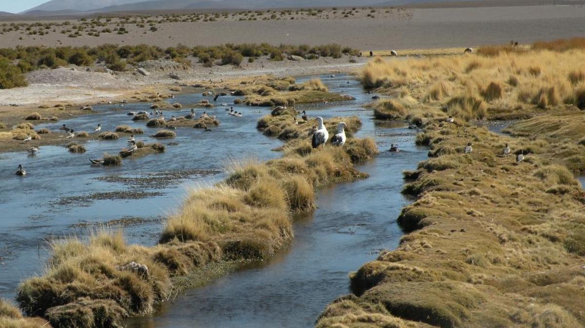 El gobierno de Bolivia argumenta que es dueño del manantial Silala en la región de Potosí (suroeste) y alimenta, sin costo, con 300 litros de agua por segundo a regiones del norte chileno, mientras que Santiago de Chile asegura que este es un río internacional.