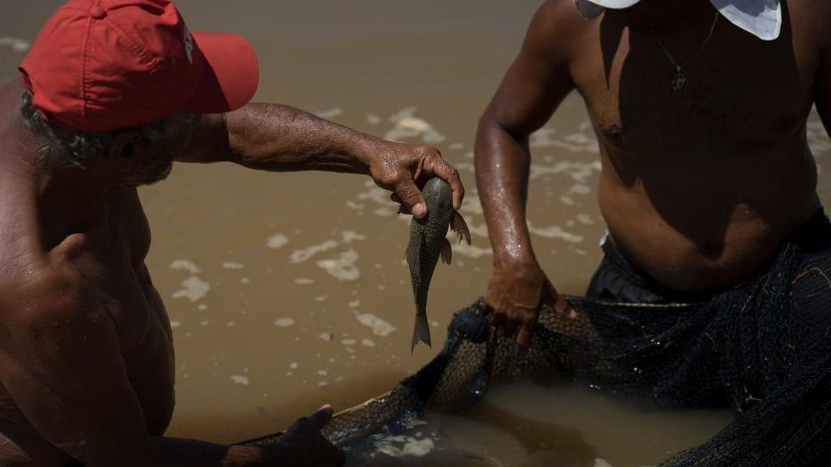 Un pescador sostiene un pez sobre una red, en una piscina temporal, construida para proteger de la contaminación a algunas de las especies del río Doce en Colatina, Brasil. Los efectos del desastre en la mina Samarco afectaron a la fauna silvestre.