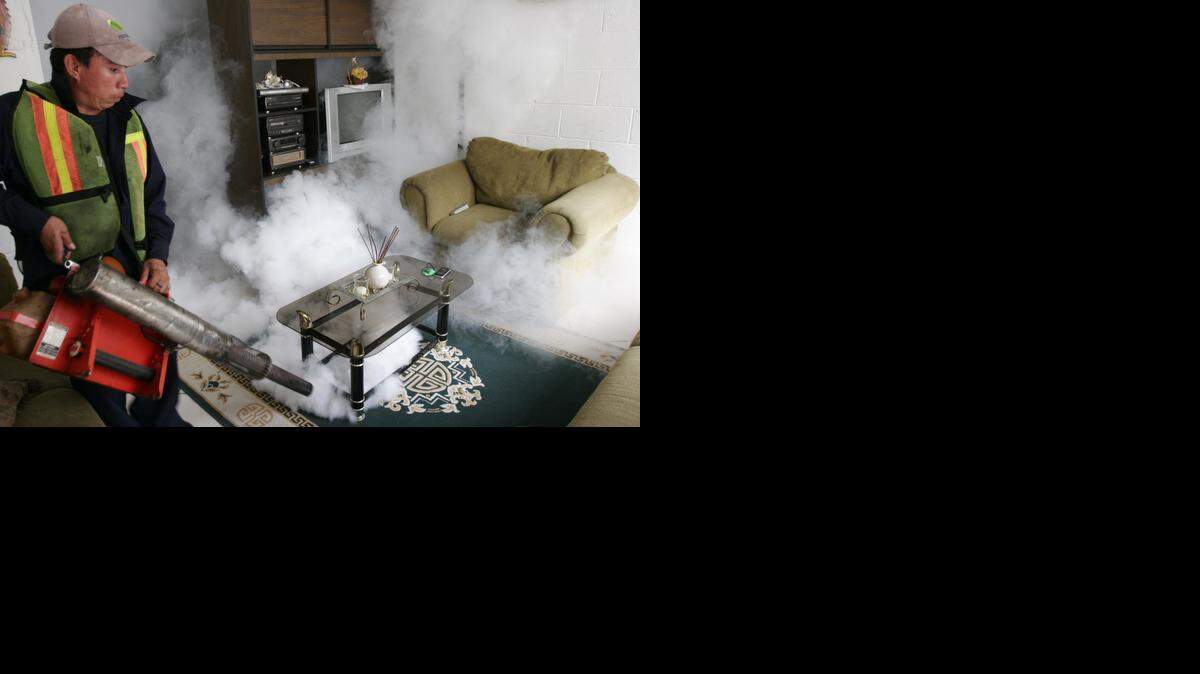 
Los muertos por el dengue hemorrágico en El Salvador aumentaron a cuatro en lo que va del 2014, mientras que el número de casos de fiebre chikunguña subió a 22,000.
