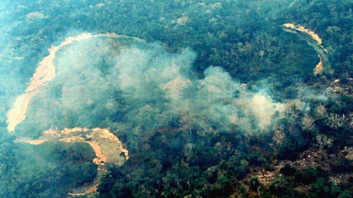 Crimen organizado acelera el colapso de la selva del Amazonas, advierte informe