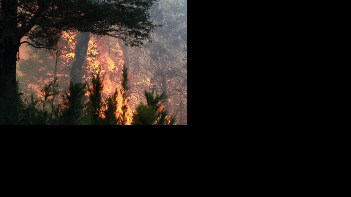 
Imagen que muestra el incendio forestal que hasta el momento ha consumido más de 3,775 hectáreas de arbolado nativo, afectando el sábado 21 1,860 hectáreas de la reserva nacional China Muerta, en el sector de Melipeuco, a unos 700 kilómetros de Santiago.
