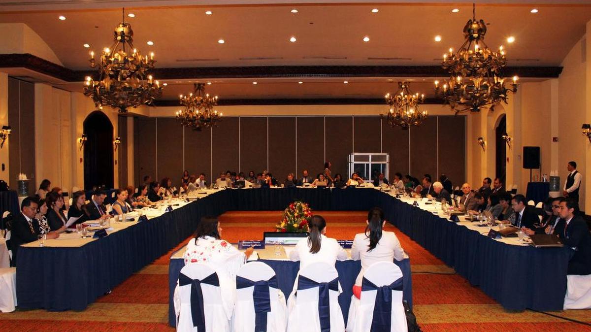 Fotografía cedida por la Secretaría de Relaciones Exteriores de Honduras de la Conferencia Regional sobre Migración que finaliza el 9 de junio de 2016, en Tegucigalpa, y en la que se acordó la creación de una Red de Niñez y Adolescencia Migrante.