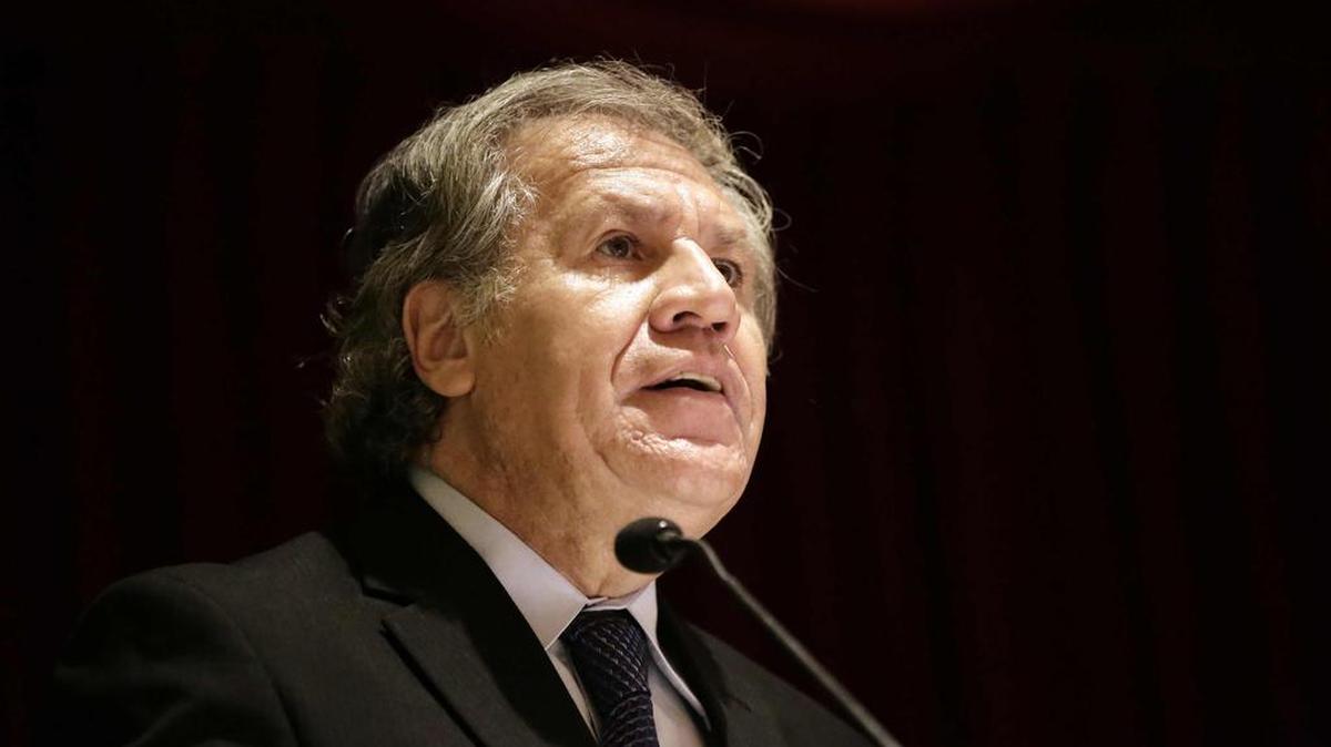 El secretario general de la Organización de los Estados Americanos (OEA), Luis Almagro, participa en el "Foro de Alto Nivel sobre los Flujos de Migrantes en situación migratoria irregular en las Américas" el martes 12 de septiembre de 2017, en San José (Costa Rica).