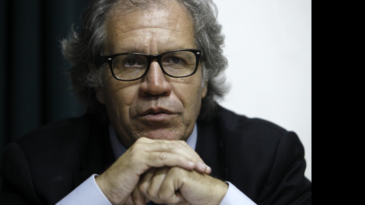 
 Fotografía de archivo del 16/04/2015 del uruguayo, Luis Almagro. Almagro participó como canciller de Uruguay en el impulso de nuevas alianzas en América Latina y ahora, a punto de asumir como nuevo secretario general de la Organización de Estados Americanos (OEA), defiende que no debe haber competencia, sino colaboración entre todos los organismos. 
