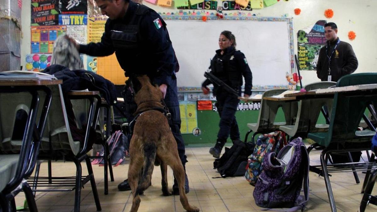 En foto de archivo, la policía mexicana emplea perros entrenados para revisiones en la Escuela Federal Número 8 en Ciudad Juárez, México, para prevenir incidentes violentos.