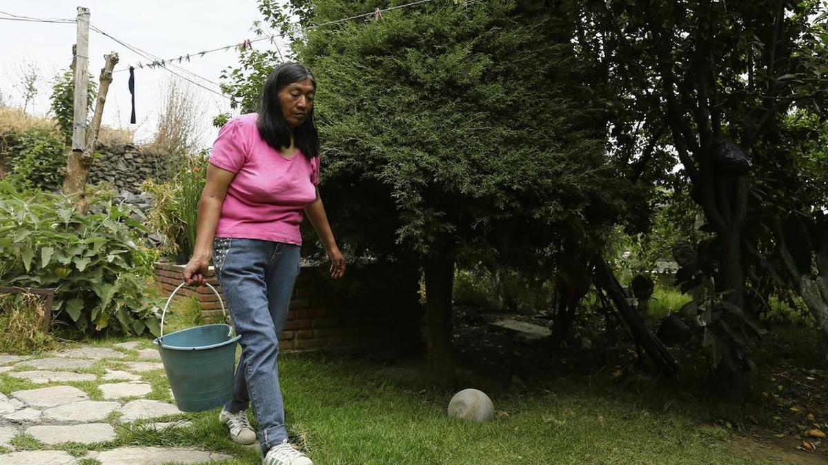 Fotografía del 12 de mayo de 2017, de Helena Cruz, habitante de la comunidad de Quiltepec, en la delegación Tlalpan de la Ciudad de México (México), quien utiliza agua reciclada para el riego de sus plantas.