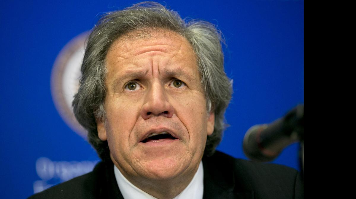 
 Secretario General de la OEA Luis Almagro.
