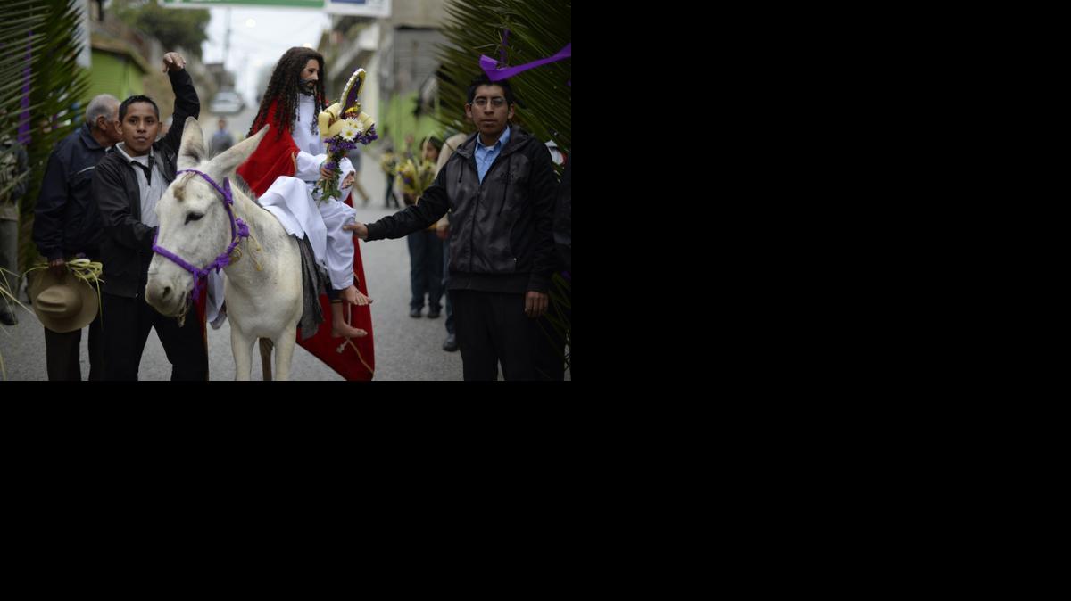 
Integrantes de la hermandad del Sagrado Corazón de Jesús, sostienen el domingo la imagen de Jesús Cristo durante la tradicional procesión de la Palma, en San Pedro Sacatepequez, 30 km al oeste de Ciudad de Guatemala. 
