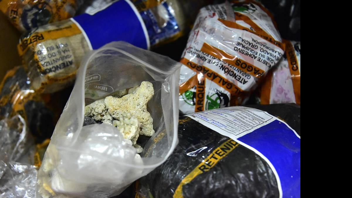 
Paquetes que contienen material inorgánico confiscado a turistas en el aeropuerto de Baltra, una de las 13 islas de Galápagos, Ecuador.
