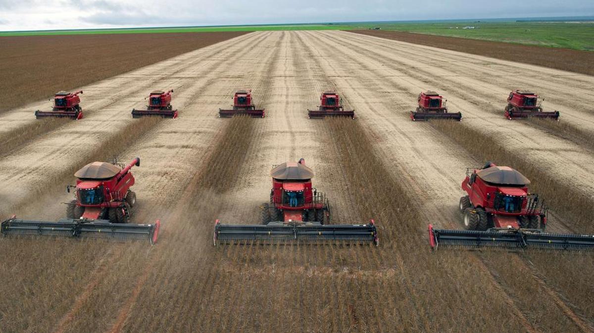 Combinadas realizan la cosecha de un campo de soya en Campo Novo do Parecis, a unos 400 al noroeste de Cuiaba, en Mato Grosso, en esta foto de archivo.