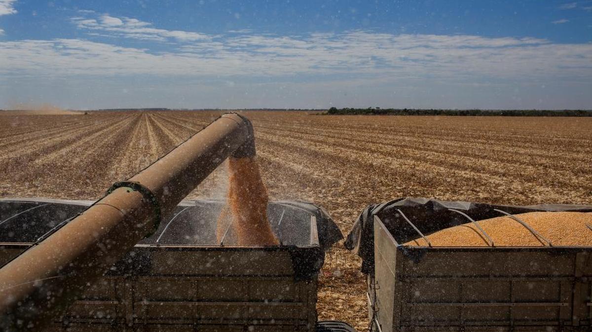 
La región agrícola de Lucas do Rio Verde podría convertirse en un importante centro de fletes, si queda en medio de la ruta del ferrocarril, que cubriría 3,300 millas.

