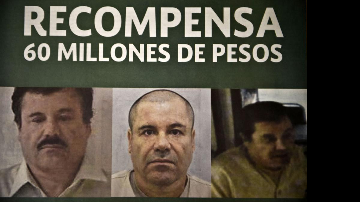 
En estos folletos se ofrece una recompensa de 60 millones de pesos (unos 3.8 millones de dólares) para quien facilite información confiable que lleve a la reaprehensión del delincuente, informaron en un comunicado conjunto la Comisión Nacional de Seguridad (CNS) y la Policía Federal.

