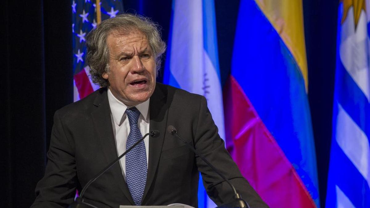 El secretario general de la Organización de Estados Americanos (OEA), Luis Almagro, habla durante la segunda reunión anual de exmandatarios iberoamericanos el miércoles 25 de octubre de 2017, en Miami, Florida (EEUU).